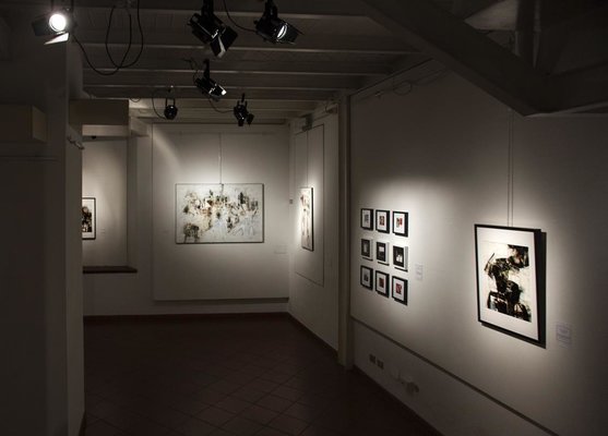 Francesco D'Adamo in the Studio: "Chimere" solo exhibition, Palazzo SS. Salvatore - S. Giovanni in P. (BO) - 2017