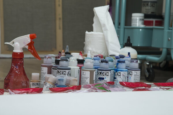 Nicole Cijs in the Studio