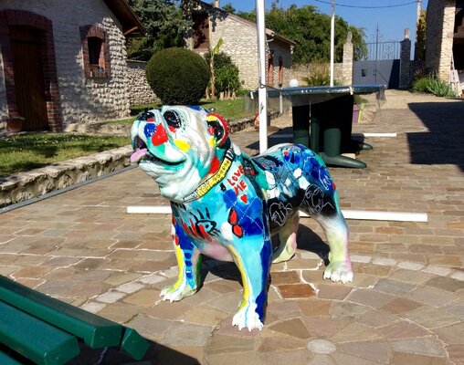 Jean-Louis Azencott in the Studio: Mon chien de garde !