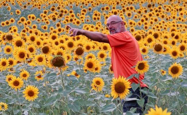 Andrea Benetti in the Studio: When you are immersed in sunflowers...