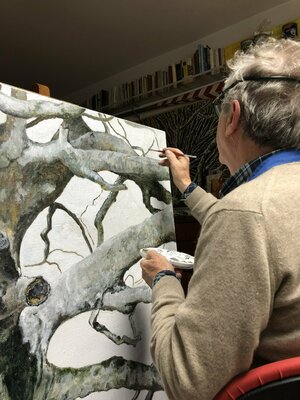 Piero Casarin in the Studio: Alberi la mia passione