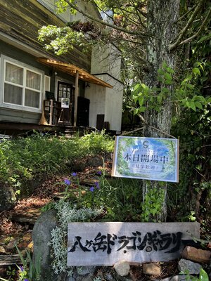 Hirono Nakamura in the Studio: Welcome to the Yatsugatake Dragon Gallery — where art, nature, and dragons meet.