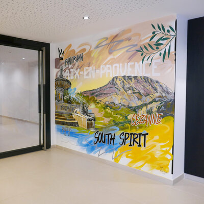 Pappay in the Studio: Réalisation d'une fresque, immeuble d'habitation Aix-en-Provence