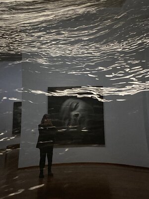 Gerlinde Kosina in the Studio: ALBERTINA  MUSEUM  WIEN  -  ROBERT LONGO - AUSSTELLUNG