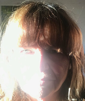 Gerlinde Kosina in the Studio: herbstlicht.  im atelier 6.11.2021