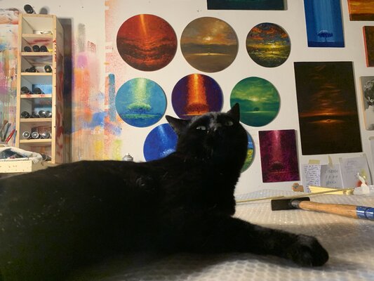 Alessandro Piras in the Studio: Titto, my magic wonderful black cat! I love him.