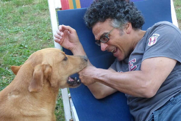 Alessandro Piras in the Studio: My dear dog Pongo,