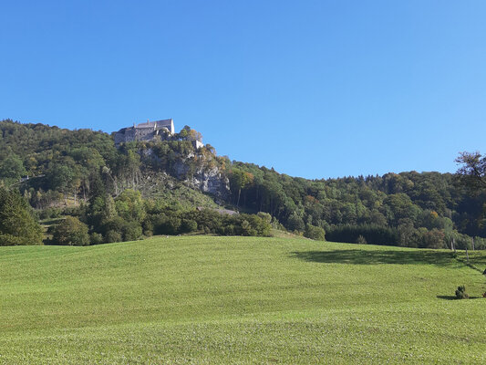 Isabella Scharf-Minichmair in the Studio: Castle Altpernstein Austria