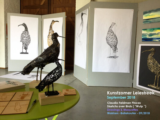 Claudio Pincas Feldman in the Studio: Exposicion Wakken / Vogels / Birds Sketchs /2018
