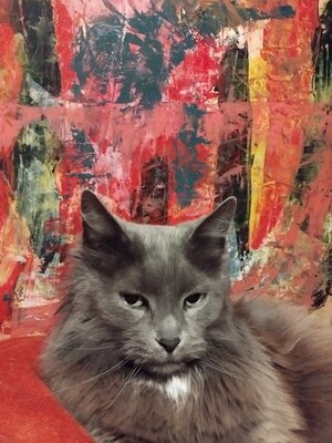 Erwin STEINBACH in the Studio: Fidèle à l'atelier, elle est toujours là à mes côtés, je vous présente Nénette .