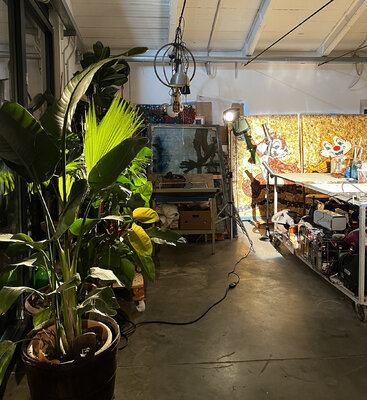 Oscar Baccilieri in the Studio