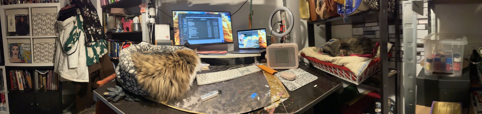 Francesca Romana Luzi in the Studio: Una panoramica del mio studio inclusi i gatti sula scrivania..
