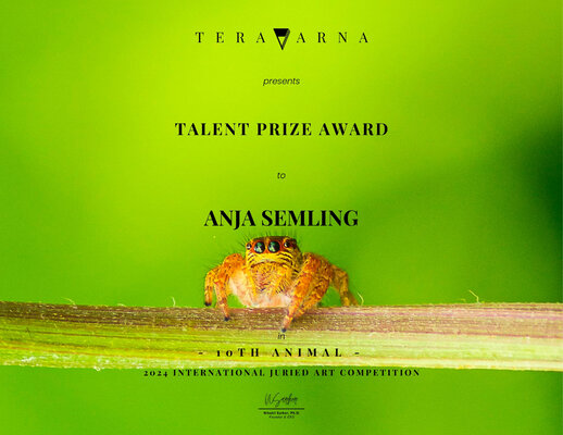 Anja Semling in the Studio: 2025 Talent Prize Award für mein Gemälde "Wundersame Schwäne"