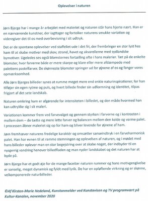 Joern Bjerge in the Studio: Review of my work in Danish for the Danes.