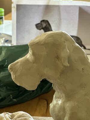 DOGFINEART in the Studio: Das Modell erfassen und umsetzen.....