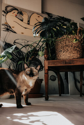 Yana Medow in the Studio: studio view