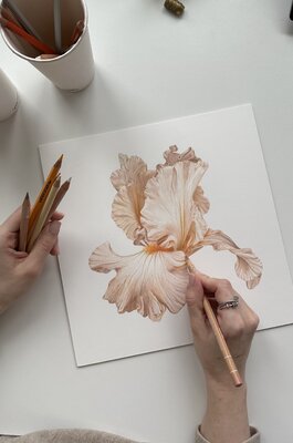 Ana Stan in the Studio: Iris Flower Commission