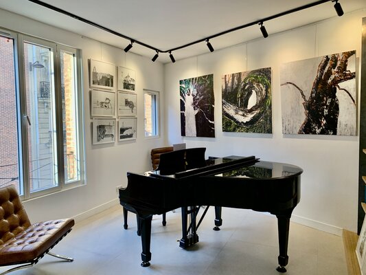 Jie Wang in the Studio: Atelier de Jie WANG (salle de concert)