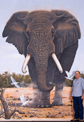 Joe Marais im Studio: Standing next to my Lifesize painting of an African Bull elephant. Canvas size 5m high x 3.5m wide. SOLD.