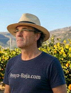 Follow Vicente Penya-Roja on Select