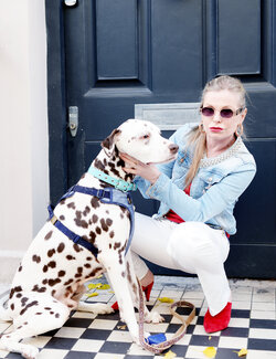 Follow Frederica Henrieta Lecornu on Select