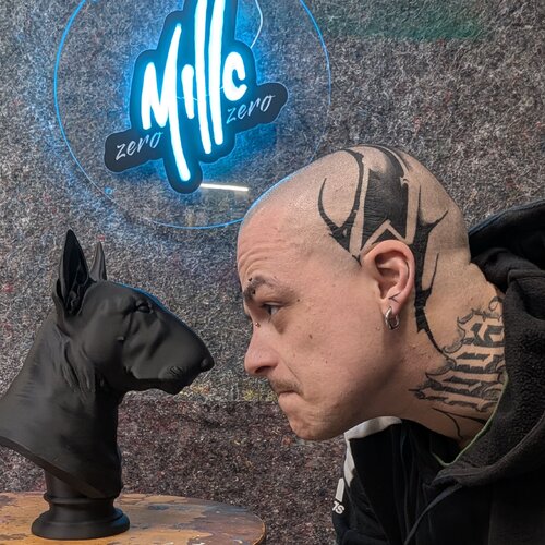 Follow Michele Fontana on Select