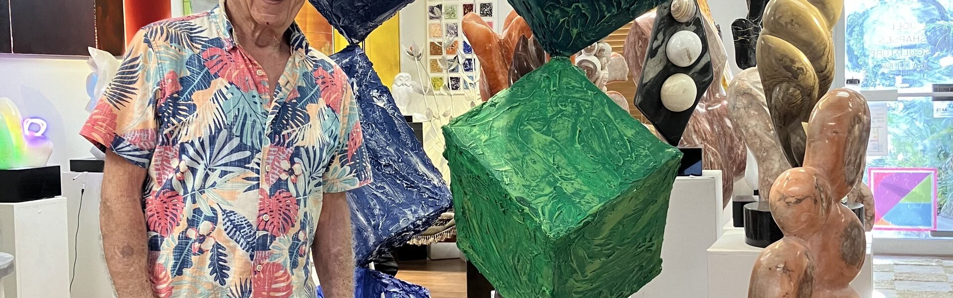 Joel Shapses Art for Sale
