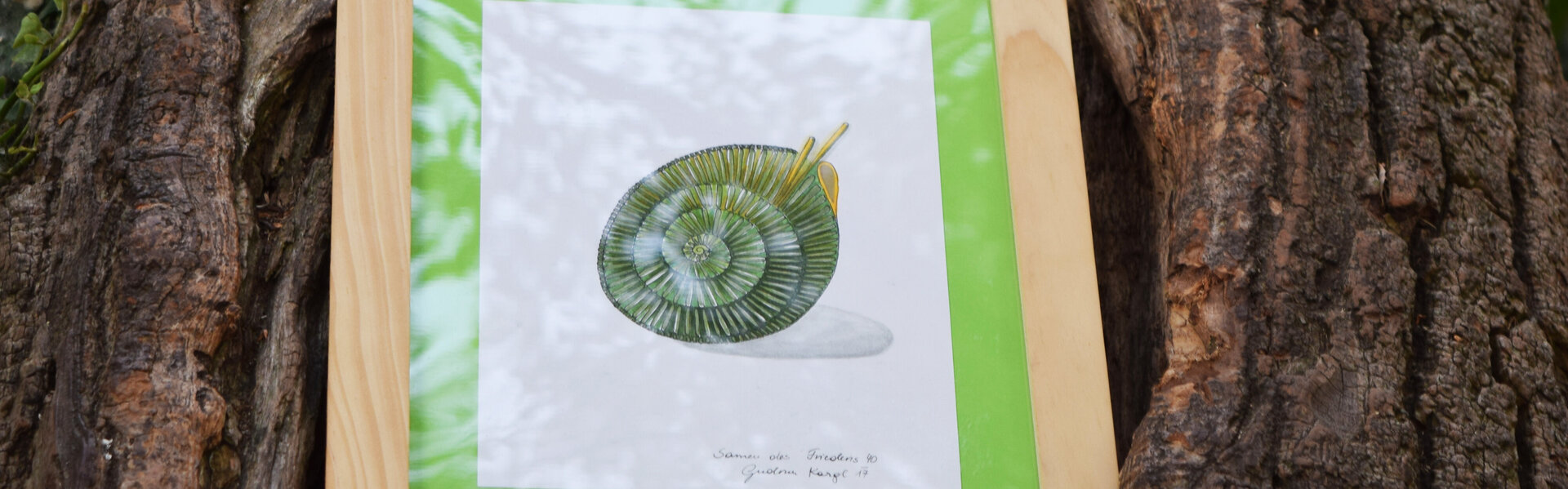 Gudrun KARGL Art for Sale