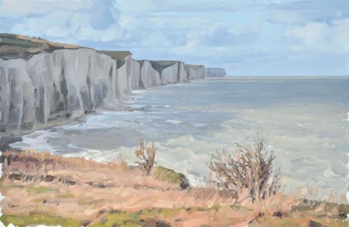 Vingt-cinq février, les falaises à Ault by Anne Baudequin, Painting for Sale on Select