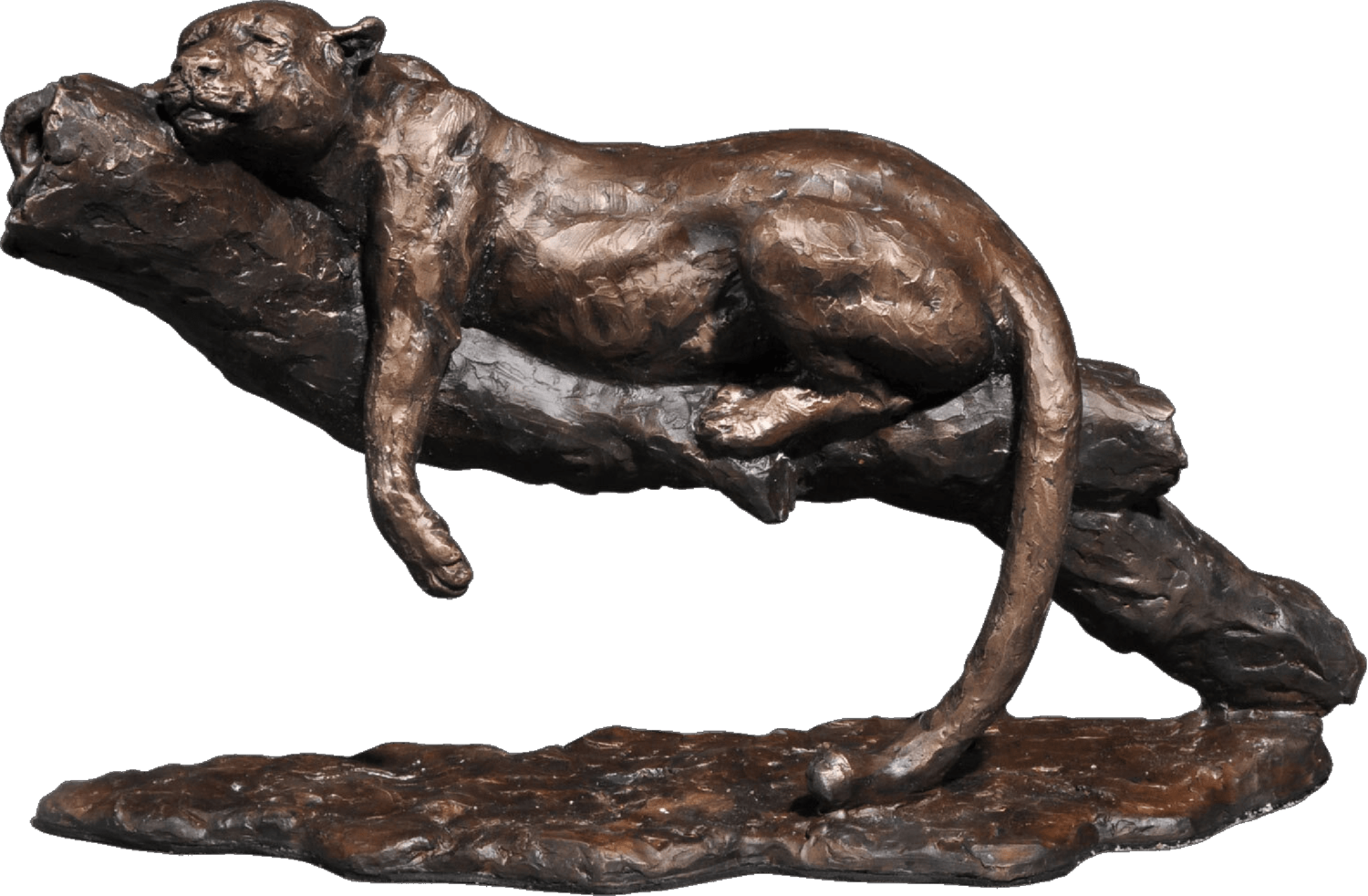 Lazy Leopard, Marquette ( Limited edition ) Barry Jackson Sculpture for sale
