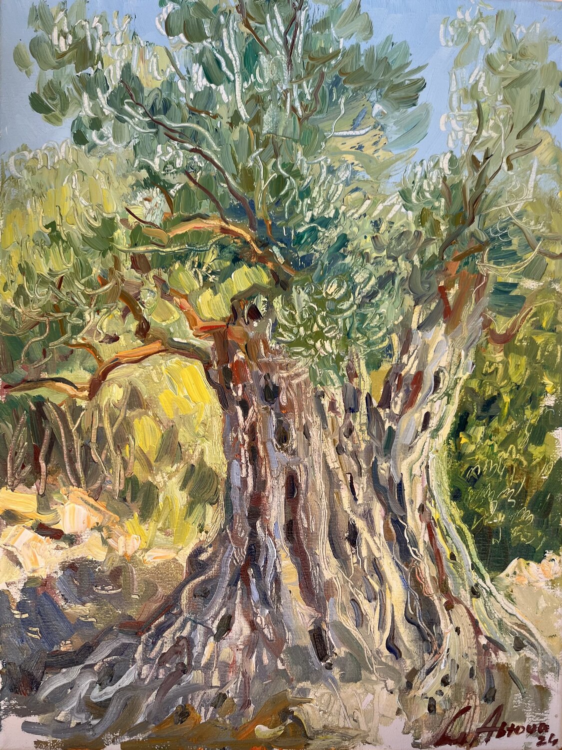 Cretan Olive Tree Larissa Abtova Original painting for sale
