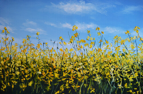 Canola Field in Ukraine by Valeria Radzievska, Painting for Sale on Select