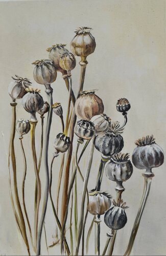 Pastel Poppy Pods von Valeria Radzievska, Malerei kaufen auf Select