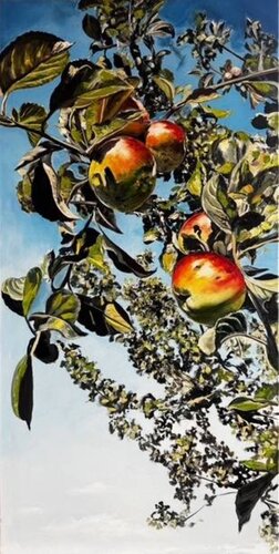 Augut Apples by Valeria Radzievska, Painting for Sale on Select