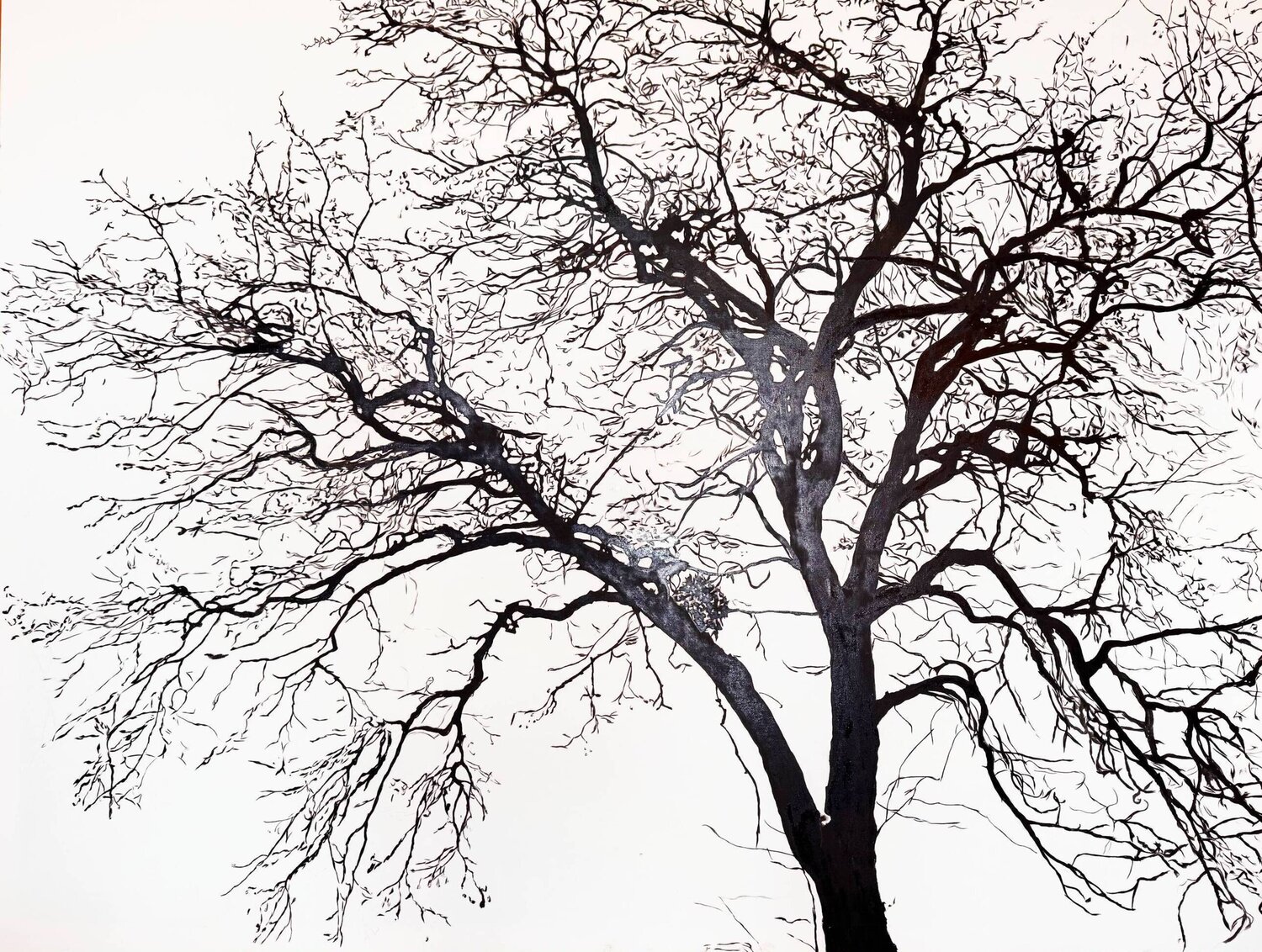Acacia Valeria Radzievska Original painting for sale