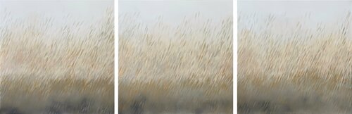 Fish nº127 / extra large painting by Malgorzata Krakowiak, Painting for Sale on Select