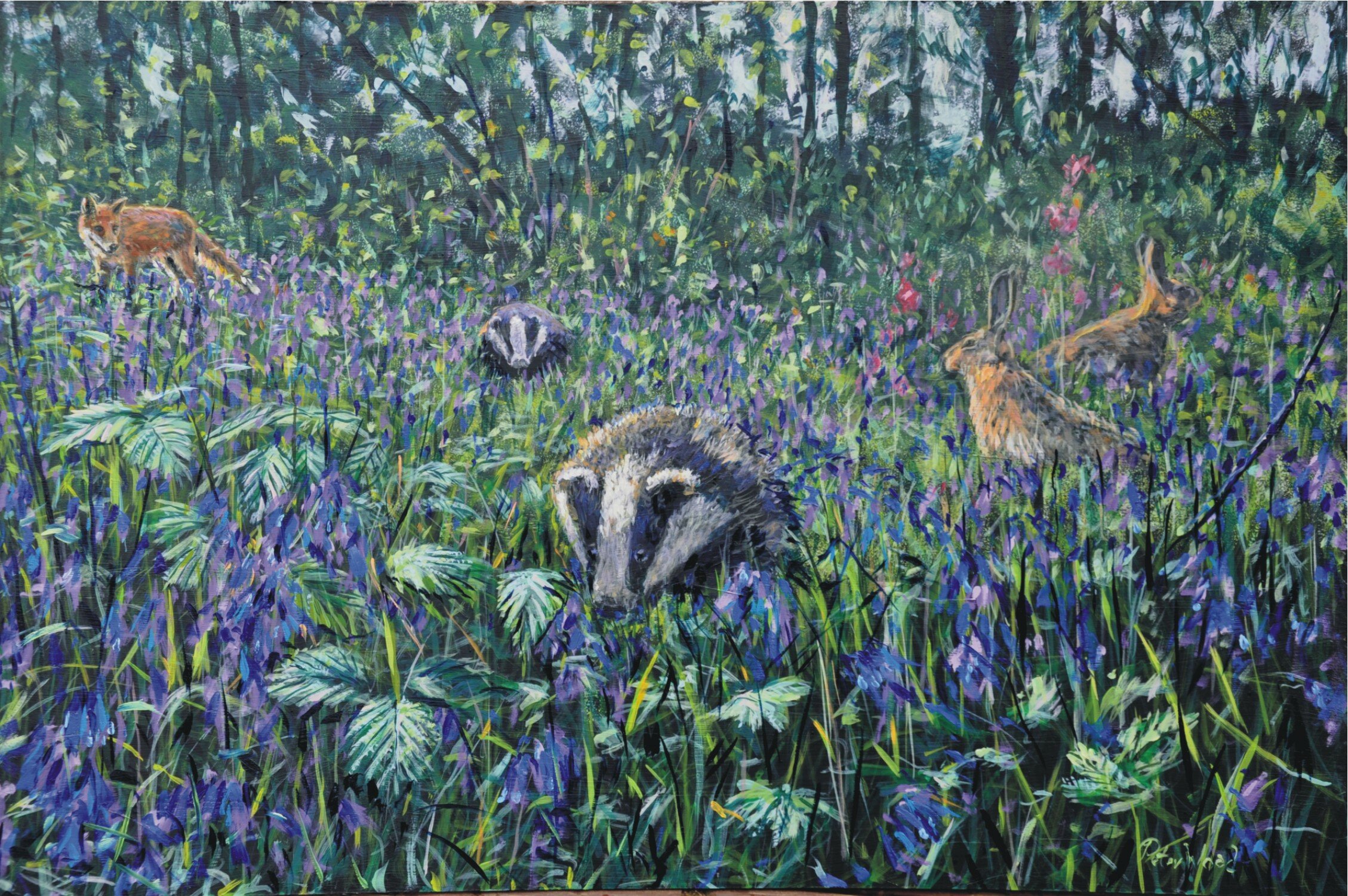 Topic Badger paintings