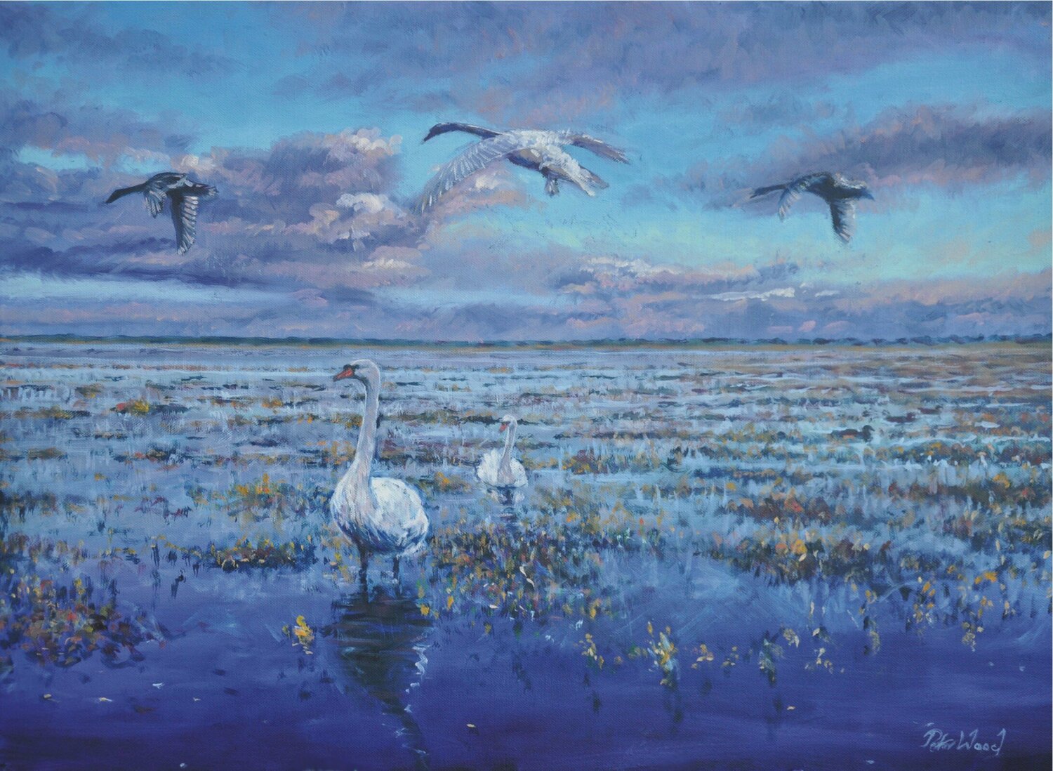 Swans at flood. Peter Wood Original painting for sale