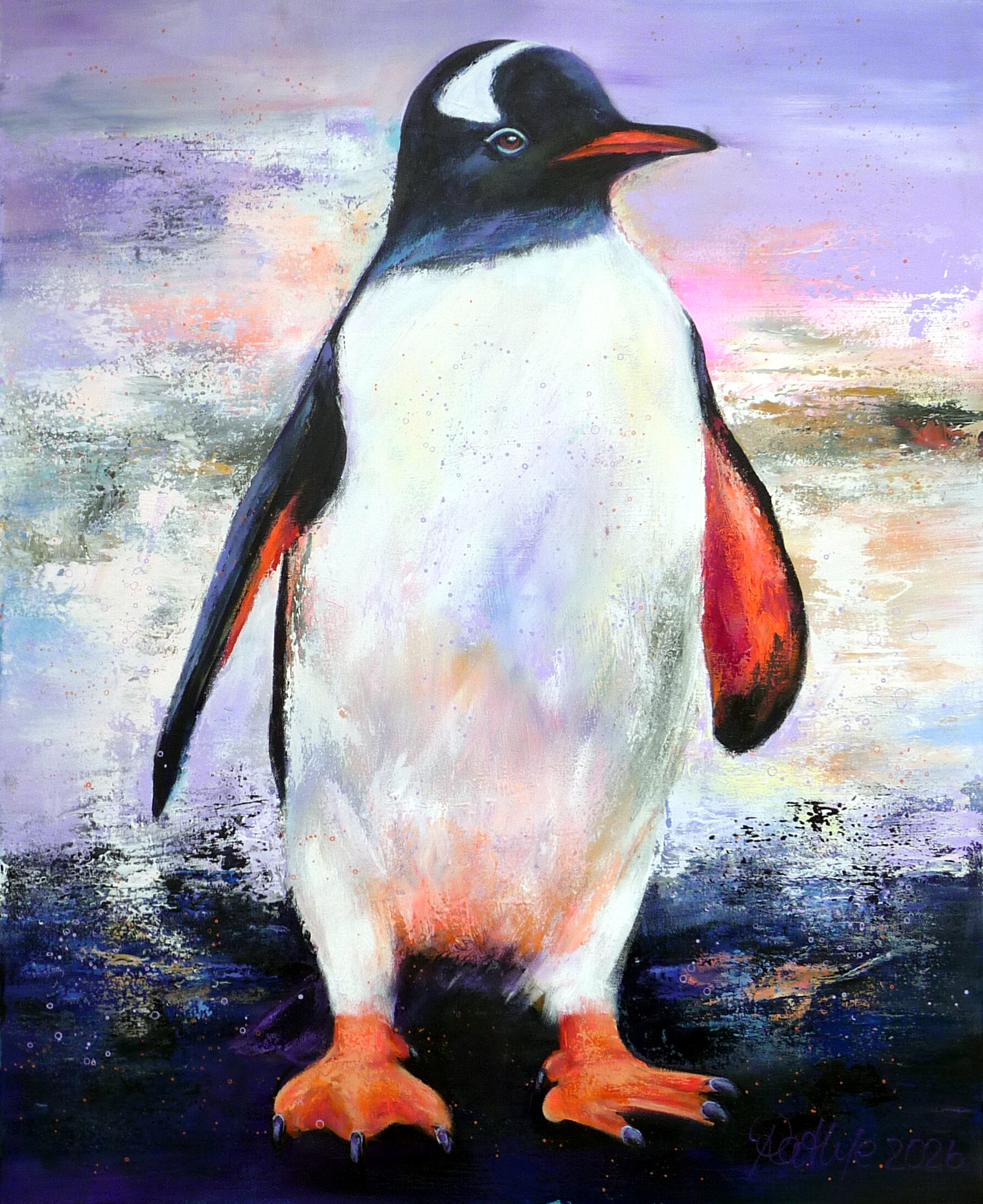 gentoo penguin on deception island