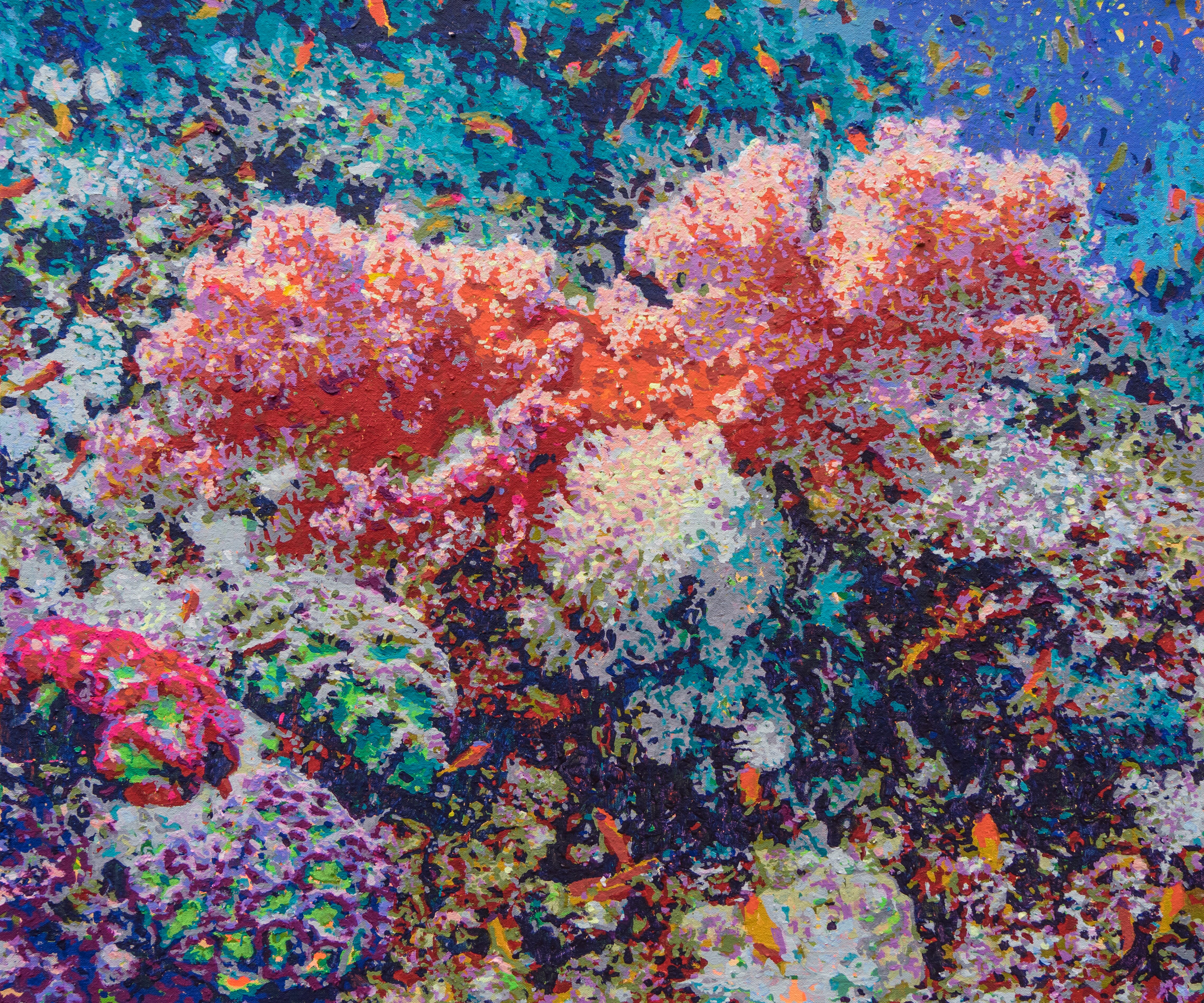 Topic Coral