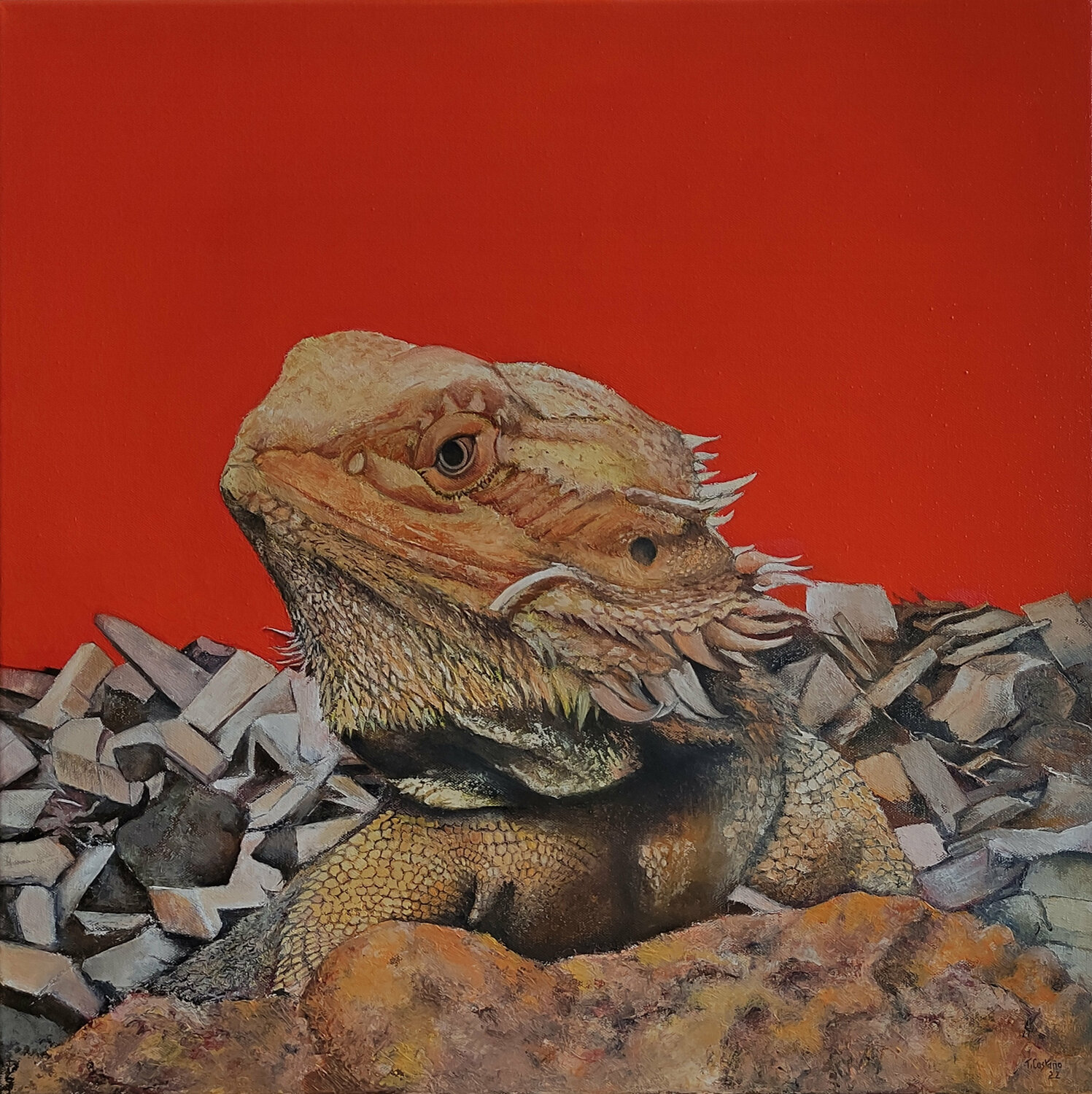 Iguana Tomás Castaño Original painting for sale