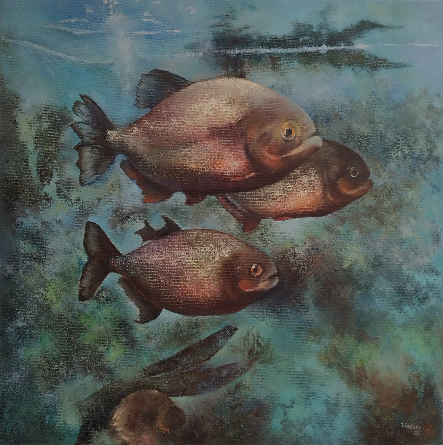 Pirañas Tomás Castaño Original painting for sale