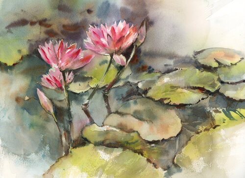 Water lilies by Sophia Rodionov, Painting for Sale on Select