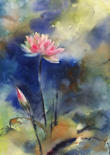 Pink Water Lily by Sophia Rodionov, Painting for Sale on Select