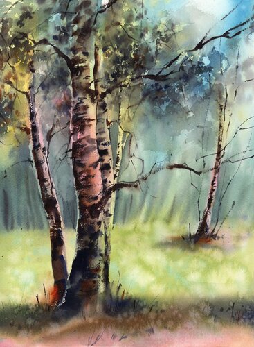 Birch Trees by Sophia Rodionov, Painting for Sale on Select
