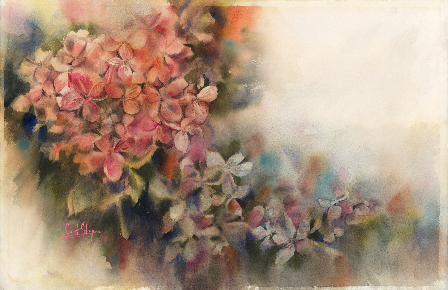 Pink Hydrangea Sophia Rodionov Original painting for sale