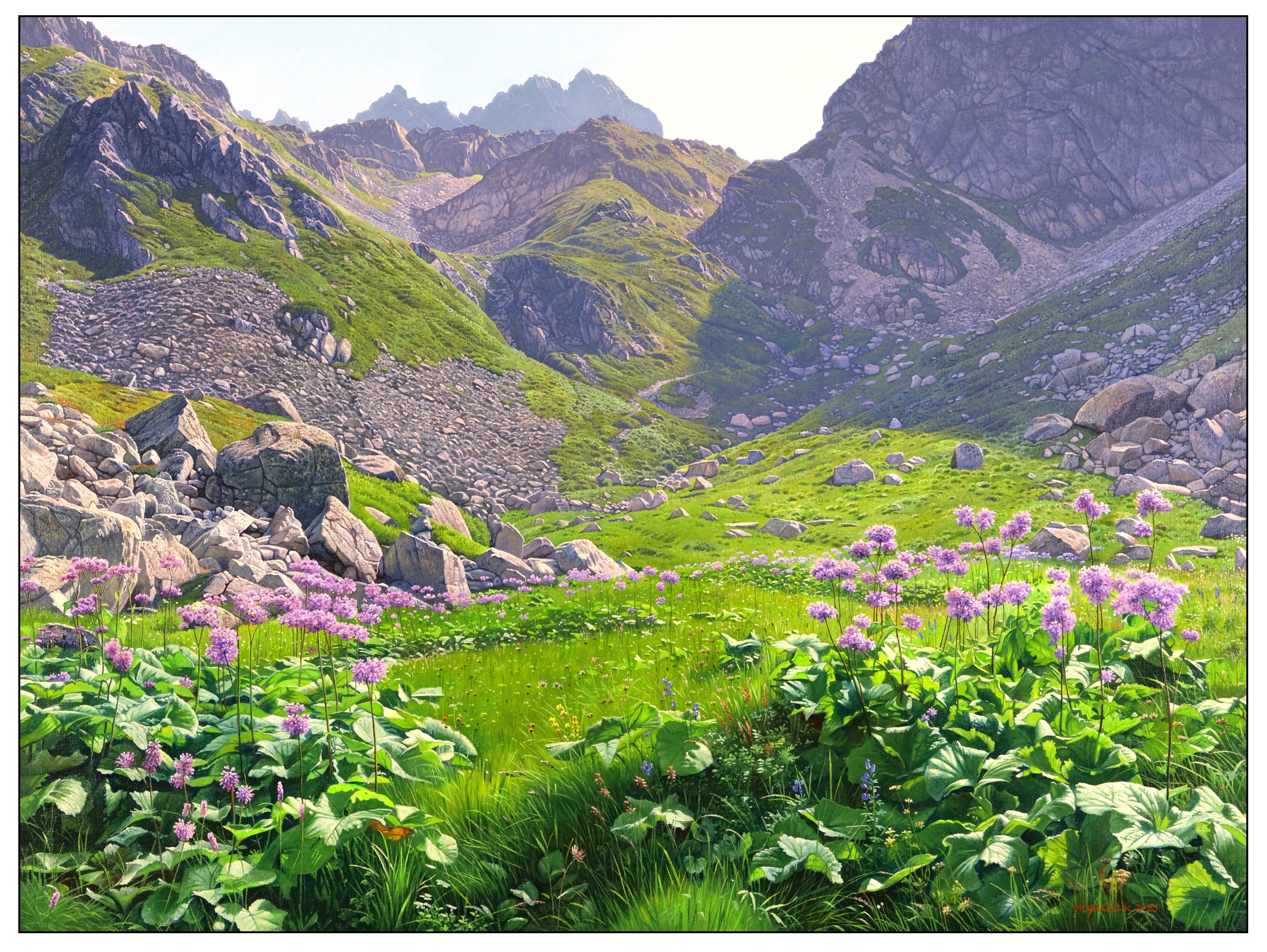 An oasis of peace in a sea of ​​stones by a mountain lake