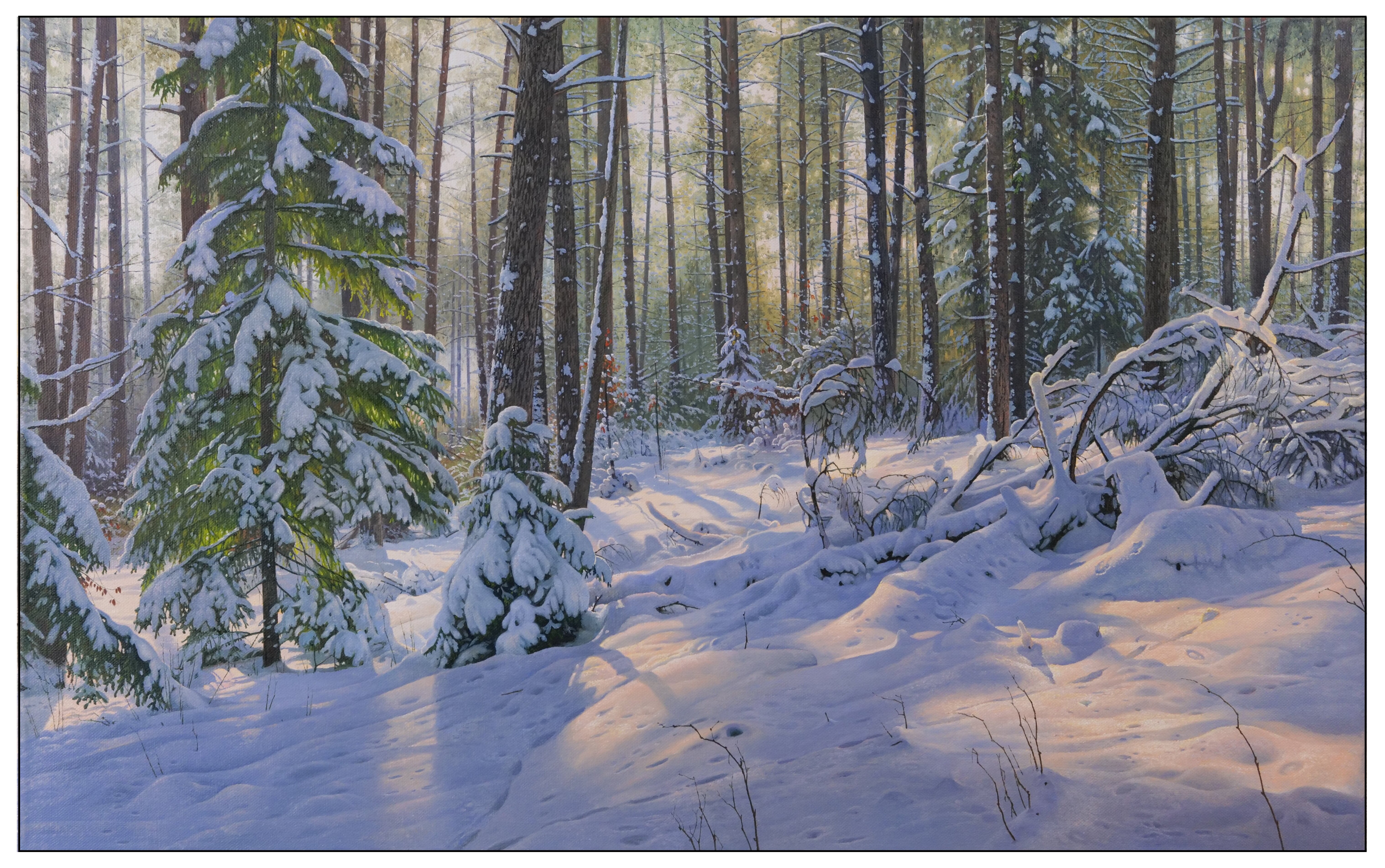 Plays of light in the winter forest