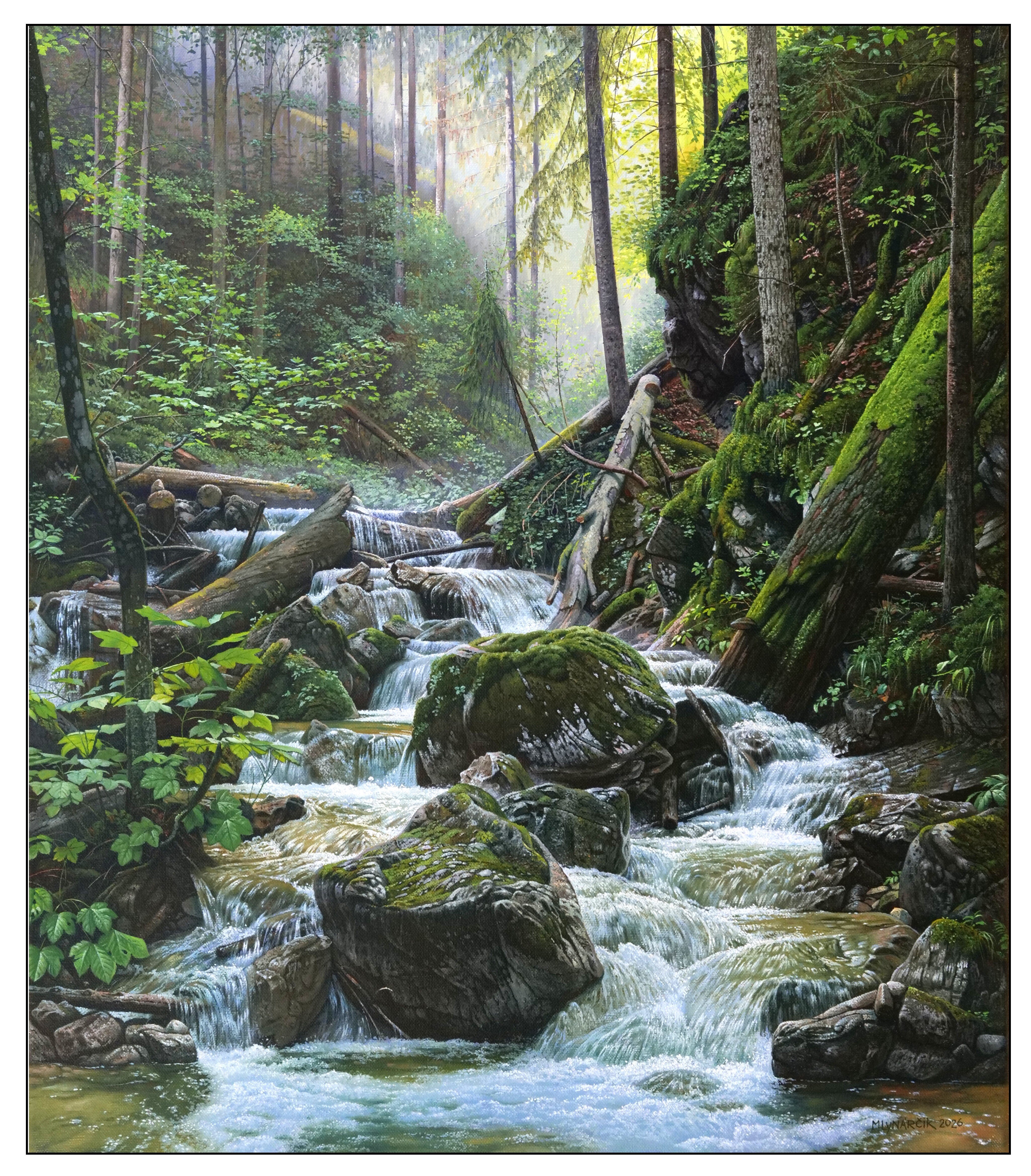 Wild stream in Sokol Valley