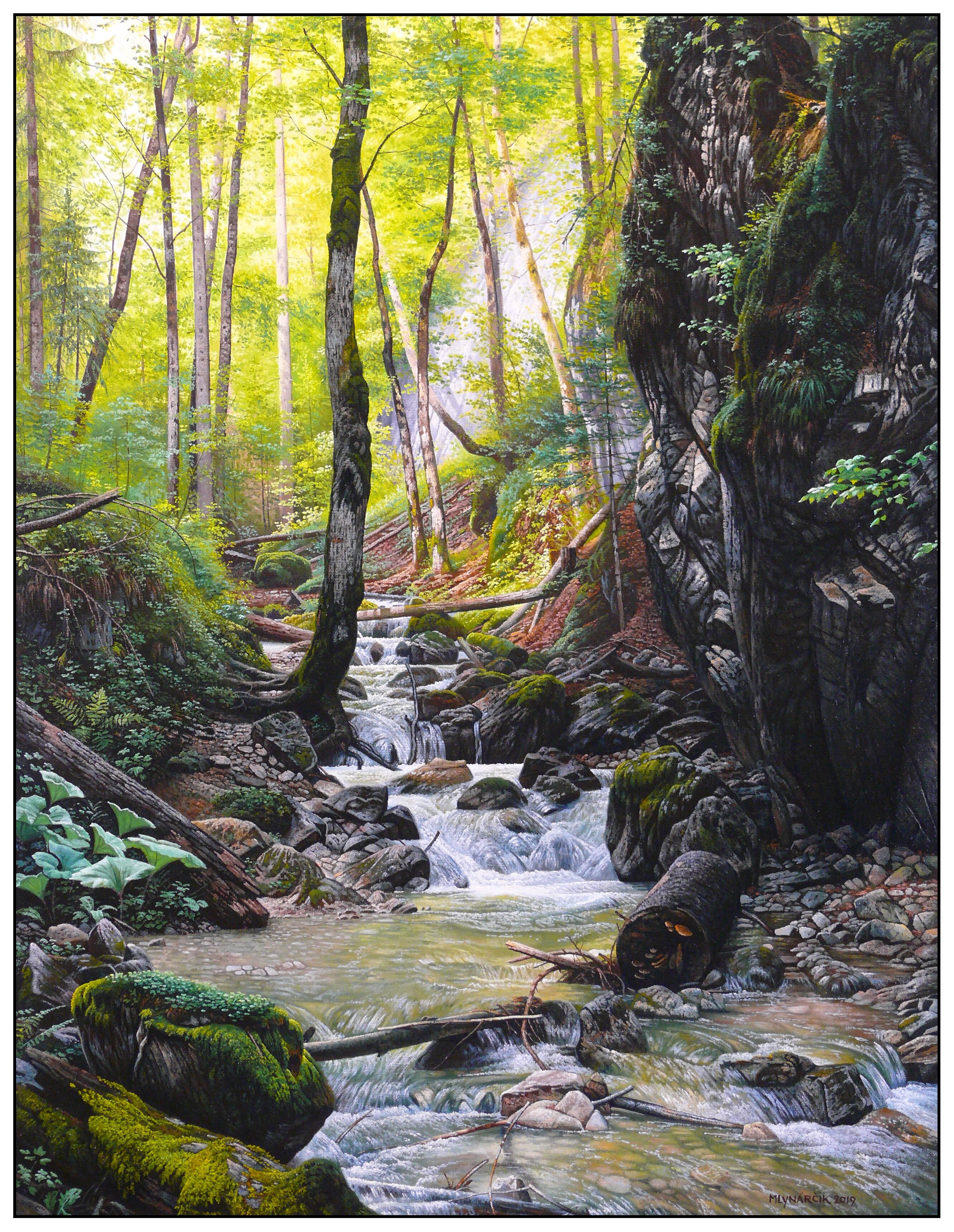 Form of the Paradise -the mountain stream in the Sokolia valley